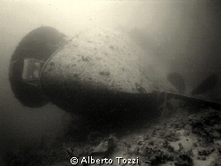 stern of Thistlegorm by Alberto Tozzi 